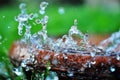 Green grass with  waterdrops Royalty Free Stock Photo