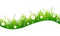 Green grass wave on white background