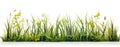 green grass white background Royalty Free Stock Photo