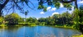 green tree with blue sky background, Hyacinth flowers and a boat on pond