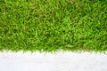 Green grass and white concrete floor Royalty Free Stock Photo