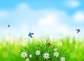 Vector element for design. Green grass with white flowers, butterflies on a spring, meadow, blurred background Royalty Free Stock Photo