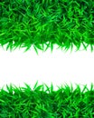 Green grass and white space Royalty Free Stock Photo