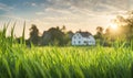 Green grass in a wide meadow, country house in the background, artistically blurred