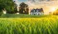 Green grass in a wide meadow, country house in the background, artistically blurred