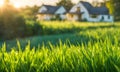 Green grass in a wide meadow, country house in the background, artistically blurred