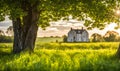 Green grass in a wide meadow, country house in the background, artistically blurred