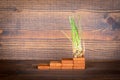 Green grass on a wooden step. Economic growth, development and careers concept