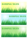 Green grass