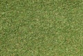 Green grassed lawn texture background Royalty Free Stock Photo