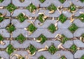 Green grasses in holes of paving blocks with seeds at autumn. background, pattern, texture. Royalty Free Stock Photo