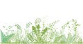 Green grasses, plants and herbs - illustration