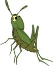 Green grasshopper. Cartoon Royalty Free Stock Photo