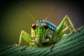 Green grasshopper sitting on tree in the garden, Generative AI