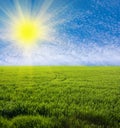 Green grassland Royalty Free Stock Photo
