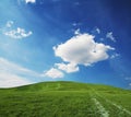 Green grassland Royalty Free Stock Photo