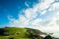 Green grassland with blue sky. The coast of New Zealand. Seal colony. I