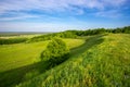 Green grassland on hill slope Royalty Free Stock Photo