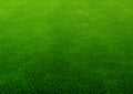 green grassland lawn background material