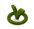 Green grasssy check mark symbol in the circle on white background