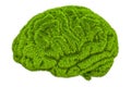 Green grassy brain, 3D rendering