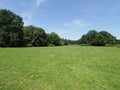 Green grassy field and trees at park landscape in european Pszczyna city in Poland on June Royalty Free Stock Photo