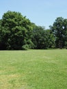 Green grassy field and trees at park landscape in european Pszczyna city in Poland on June - vertical Royalty Free Stock Photo