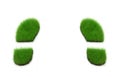 Green Grassy Footprints Royalty Free Stock Photo