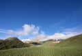 Green grassy hills under snow capped mountains of haute provence near col de vars in france Royalty Free Stock Photo