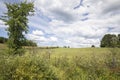 Green hillside and clearing sky in Muskoka Ontario