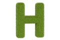 Green grassy letter H, 3D rendering
