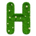 Green grassy letter H with flowers, 3D rendering
