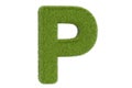 Green grassy letter P, 3D rendering