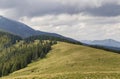 Green grassy meadow with grazing cows on background of woody mountain sunder blue sky. Beautiful summer landscape view mountains Royalty Free Stock Photo