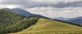 Green grassy meadow with grazing cows on background of woody mountain sunder blue sky. Beautiful summer landscape view mountains Royalty Free Stock Photo