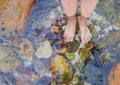 Feet on mossy stones in clear stream water 