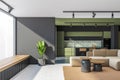 Green and gray living room and kitchen Royalty Free Stock Photo