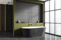 Green and gray tiled bathroom corner with tub and shower Royalty Free Stock Photo