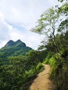 Green Greenery Forest Path Peaceful Pathway Road Landscape Royalty Free Stock Photo