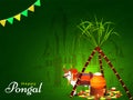 Green greeting card design with sugarcane, mud pot on bonfire and OX character in front of temple for Happy Pongal.