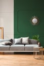 Green and grey wall with molding in chic living room interior with grey couch and wooden floor