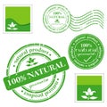 Green grunge rubber stamp Royalty Free Stock Photo