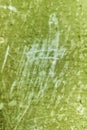 Green grunge textured cut vertical background