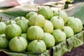 Green guava on banana leave