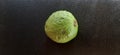 green guava heathy fresh photo