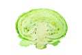 Green half head of cabbage on white background isolated close up, cutted piece of ripe white cabbage, sliced Brussels sprouts Royalty Free Stock Photo