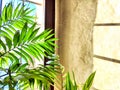 Green Hamedorea palm tree branch with leaves on windowsill in sunny day. A domestic plant. Frame, pattern, copy space on Royalty Free Stock Photo