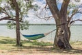 Lakeside hammock hanging between trees sunny day