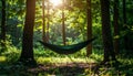 Green hammock suspended between two tree trunks in a sunlit forest clearing Royalty Free Stock Photo