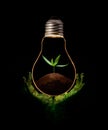 Green hand holding a light bulb with fresh green leaves inside, isolated on black background Royalty Free Stock Photo